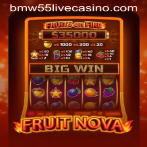 FruitNova: A Comprehensive Look Into the New Gaming Sensation