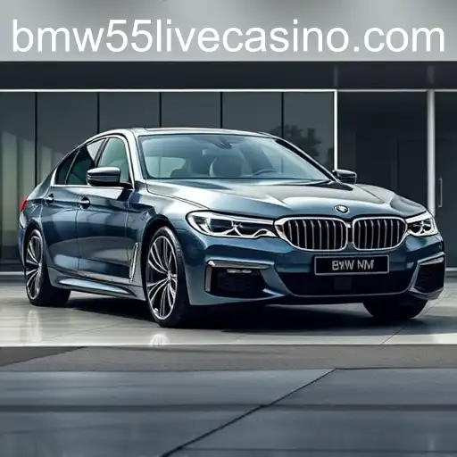 Exploring Exclusive Offers with the BMW55